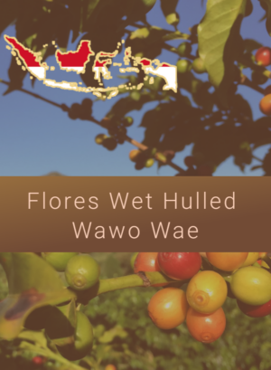 Flores Wet Hulled Wawo Wae