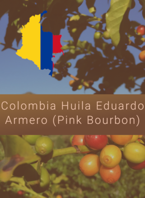 Colombia Eduardo Armero Pink Bourbon Image