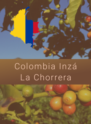 Colombia Inza La Chorrera Coffee