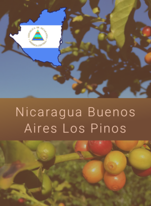 Niracagua Buenos Aires Los Pinos Coffee Label