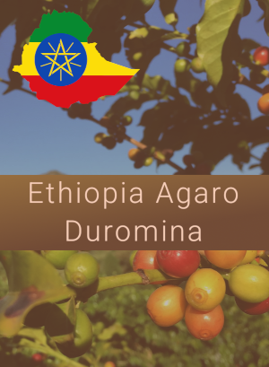 Ethiopia Agaro Duromina